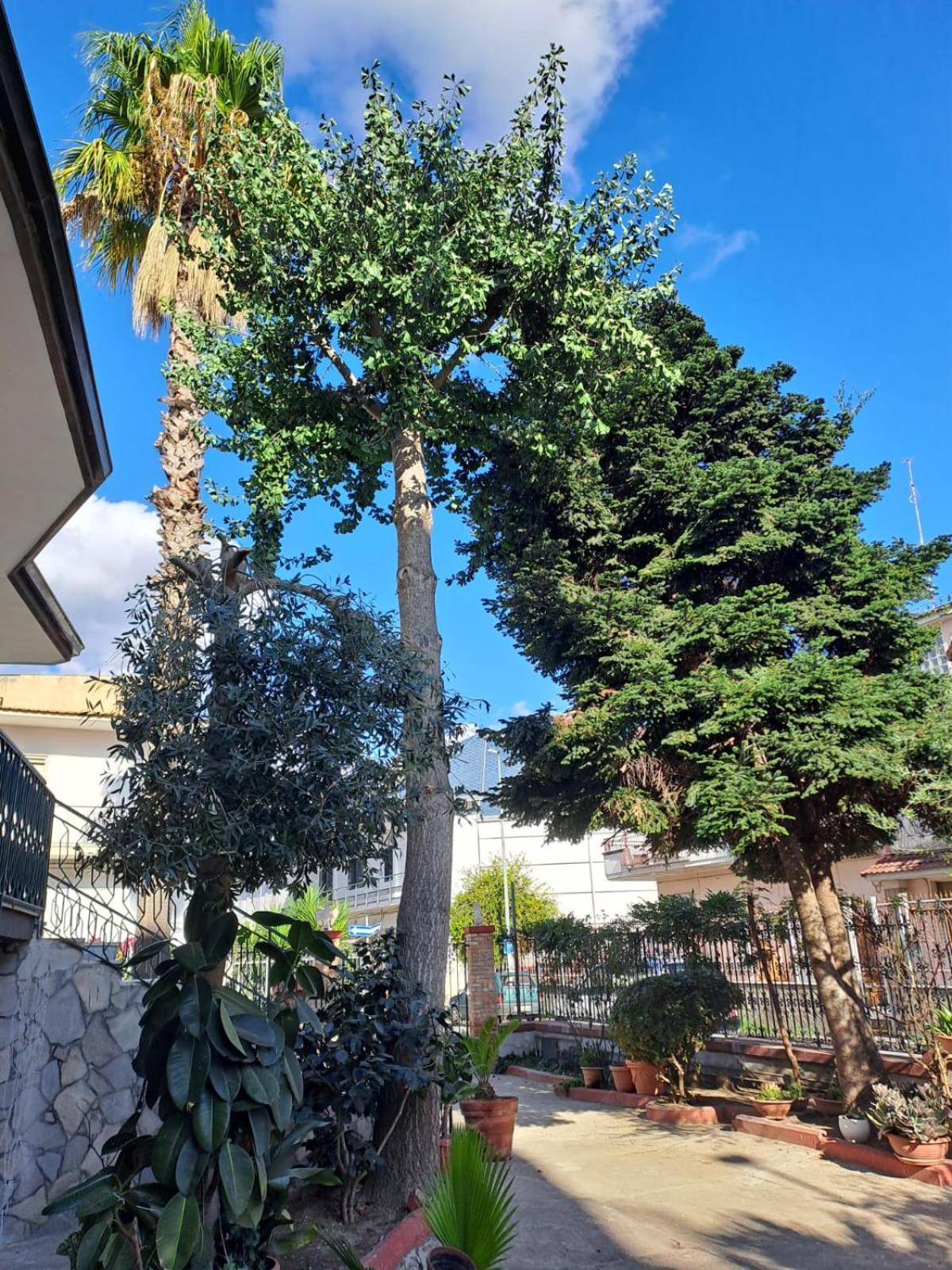 A Casa Di Luigi 2 Lejlighed Mugnano di Napoli Eksteriør billede